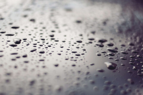Damp Proofing Buckinghamshire